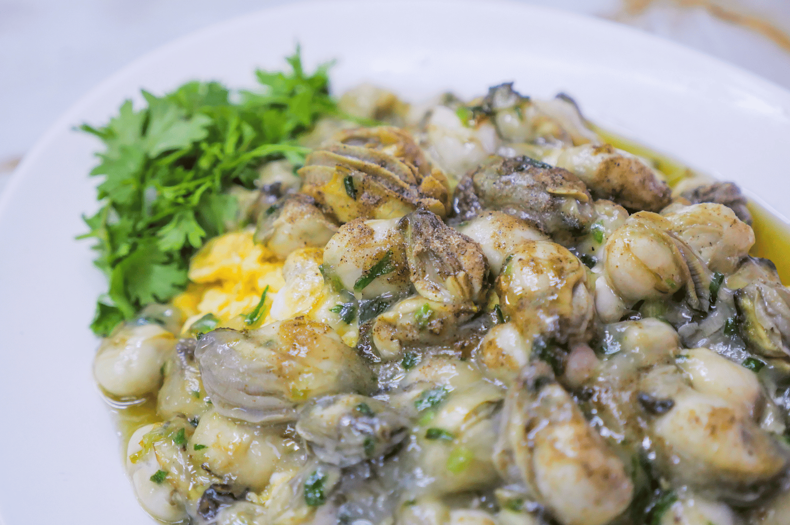 A plated Taiwanese oyster omelet featuring sautéed oysters nestled in a yellow egg mixture, garnished with fresh cilantro. The glossy finish and vibrant contrast of green herbs, golden egg, and creamy oysters evoke a refined take on the street food classic, served on a white plate for a clean, elegant presentation.