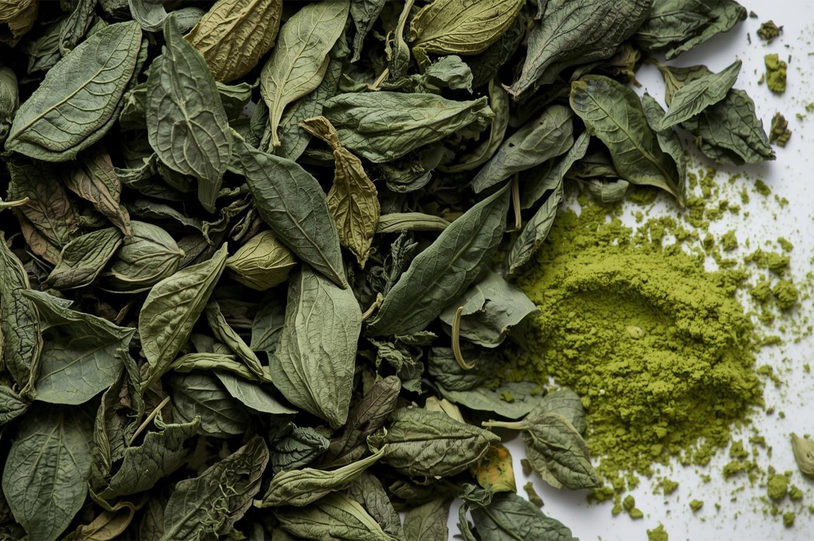 Overhead view showing a pile of dried green tea leaves next to a bright green mound of matcha powder on a white surface.