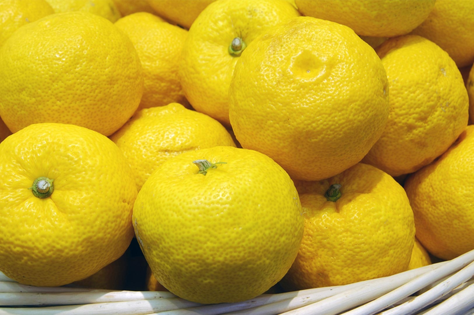 A close-up, top-down view of a white wicker basket overflowing with fresh, bright yellow yuzu fruits with textured skin.