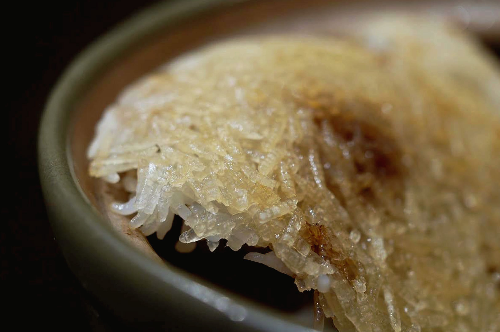 Close-up of crispy scorched rice crust in Hong Kong bo zai fan clay pot rice showing golden caramelised texture and crunchy rice layer