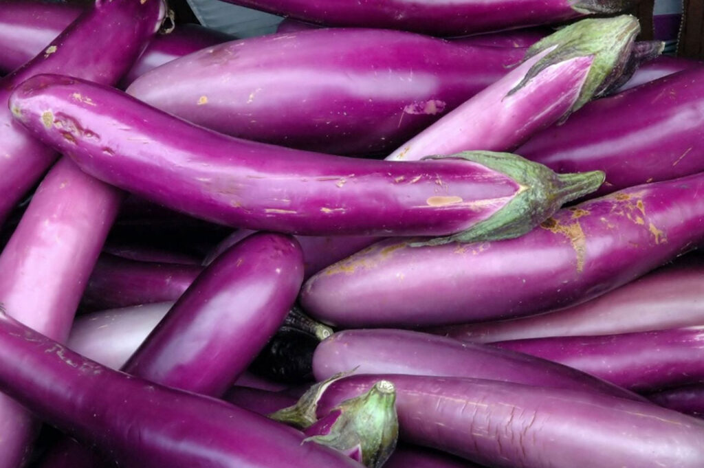 Fresh purple Chinese eggplants arranged flat lay with different heirloom varieties and natural kitchen lighting
