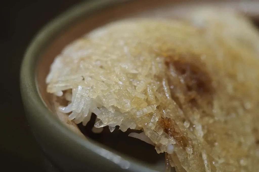 Crispy claypot rice crust close up showing golden scorched rice and caramelized rice grains